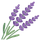 Lavendar